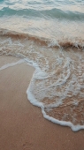 صورة العضو  3liaa