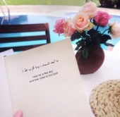 صورة العضو  1Hla