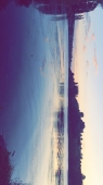 صورة العضو  S3D
